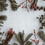 assorted-type of leaves lying on white panel